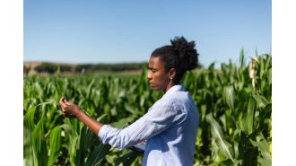 Assist in fighting food insecurity and unequal access to agriculture by supporting The Black Farmer's Index.