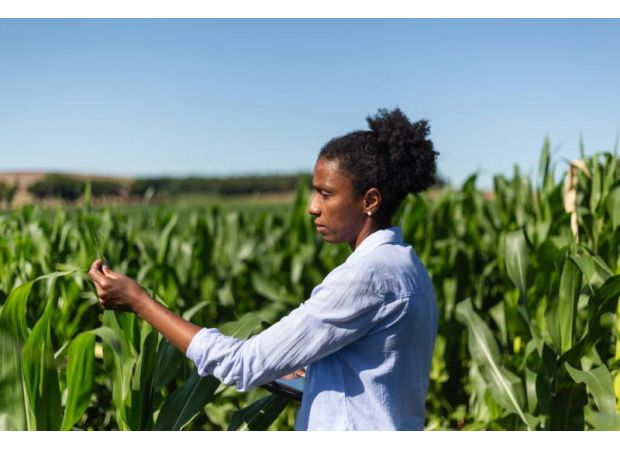 Assist in fighting food insecurity and unequal access to agriculture by supporting The Black Farmer's Index.