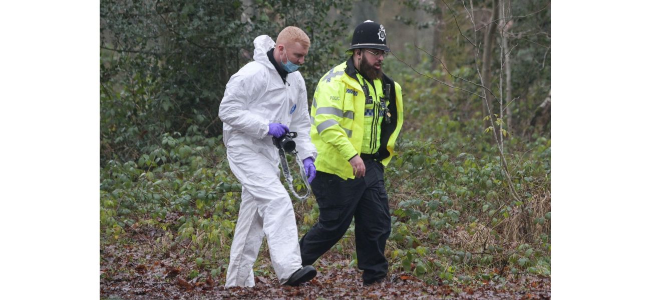 Two men are being sought after a woman was sexually assaulted in a forest.