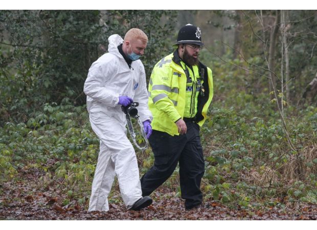 Two men are being sought after a woman was sexually assaulted in a forest.