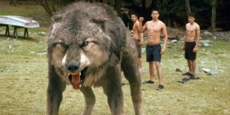 Amazon announces the release of a new supernatural TV series that promises to be wild and extraordinary.