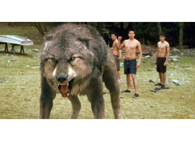 Amazon announces the release of a new supernatural TV series that promises to be wild and extraordinary.