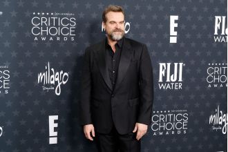 David Harbour, 49, has a new girlfriend who is 22 years younger than him, according to reports about the singer's husband, Lily Allen.