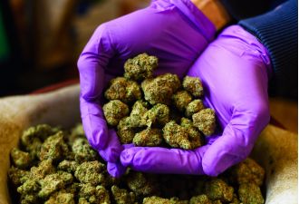 Drug dealer allowed to remain in UK after making strange pledge.