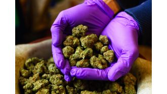 Drug dealer allowed to remain in UK after making strange pledge.