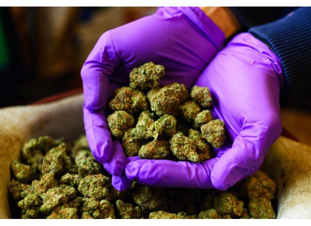 Drug dealer allowed to remain in UK after making strange pledge.