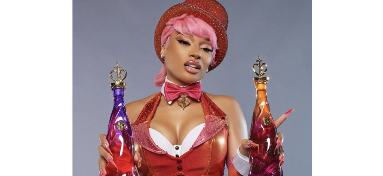 Rapper Megan Thee Stallion celebrates 30th birthday with launch of her own premium tequila brand, 'Chicas Divertidas.'