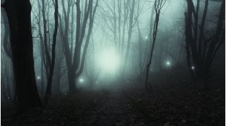 The source of strange glowing lights that have been haunting a town has been discovered.