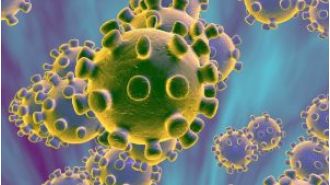 Chinese scientists warn that a recently discovered bat coronavirus has the potential to spread to humans through a similar pathway as the current Covid-19 virus.