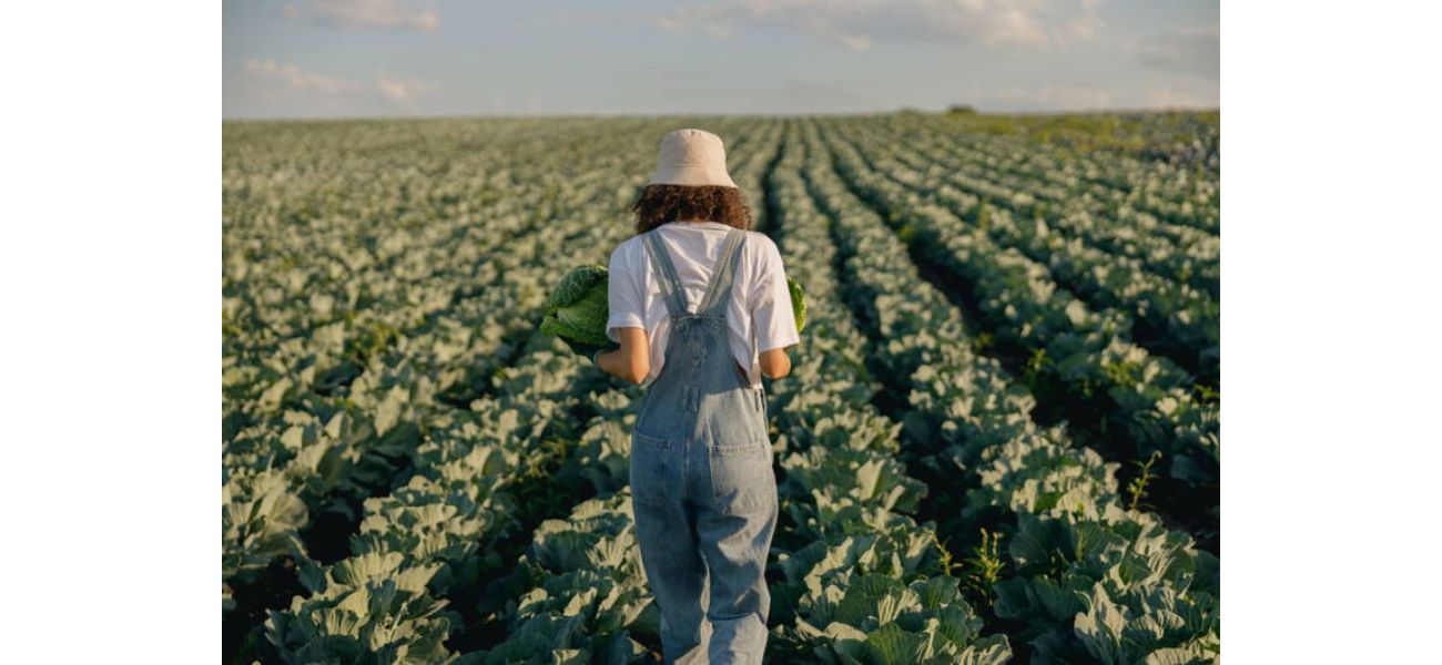 Lawmakers criticize USDA for ending HBCU scholarship due to Trump's anti-diversity executive order.