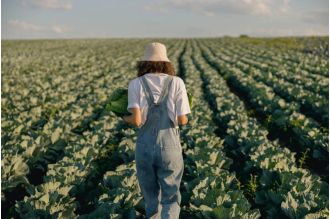 Lawmakers criticize USDA for ending HBCU scholarship due to Trump's anti-diversity executive order.