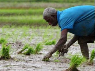 PM Modi hands out 19th round of PM-KISAN payment, farmers nationwide reap rewards