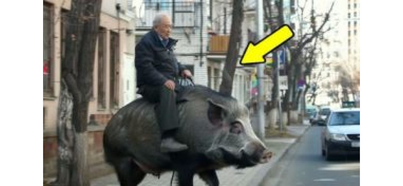 Elderly man gets bored and encounters a wild boar in a popular online video.