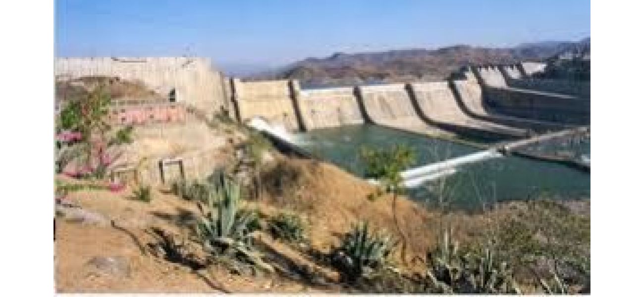 Naveen Patnaik may join Feb 28 protest against Polavaram with BJD's backing.