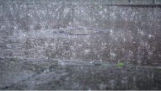 Afghanistan hit by heavy snow and rain, causing 36 deaths.