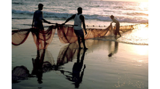 27 fishermen from TN have been released from prison in Sri Lanka and have returned home.