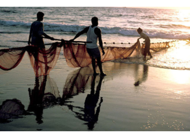 27 fishermen from TN have been released from prison in Sri Lanka and have returned home.