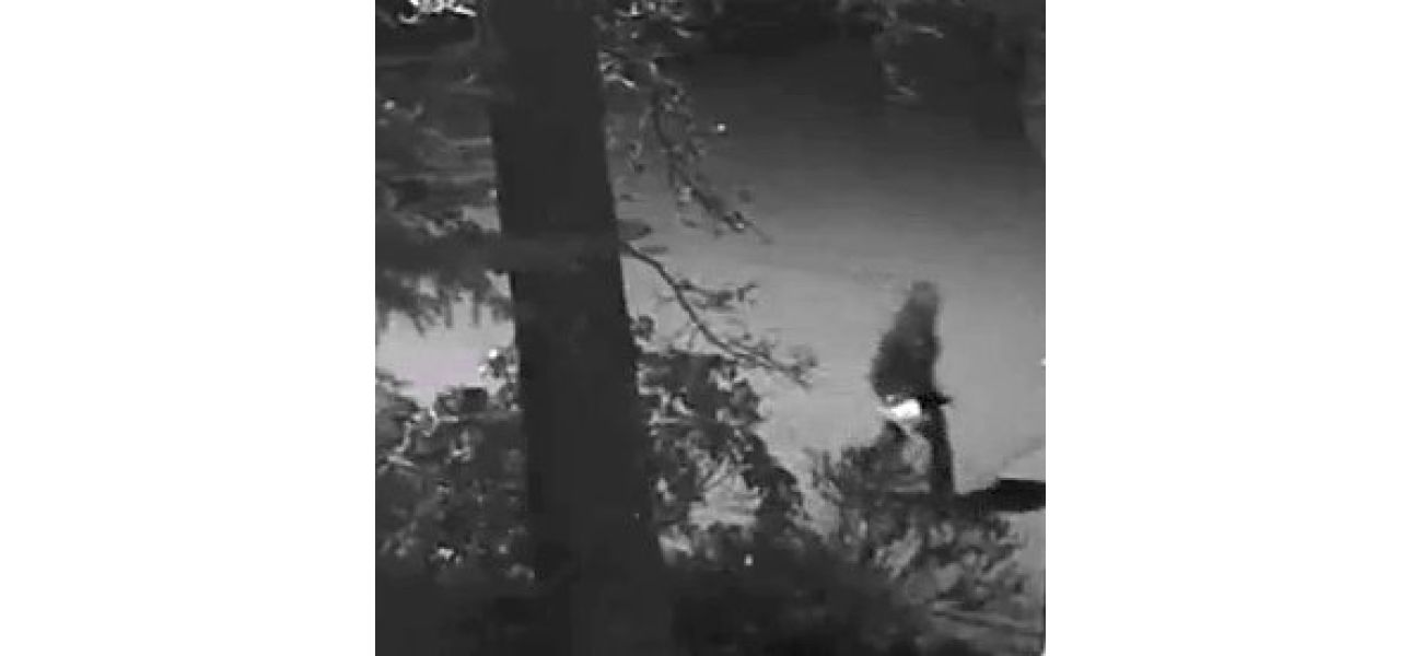 Shots fired at second insurance CEO's house, gunman at large.