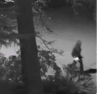 Shots fired at second insurance CEO's house, gunman at large.