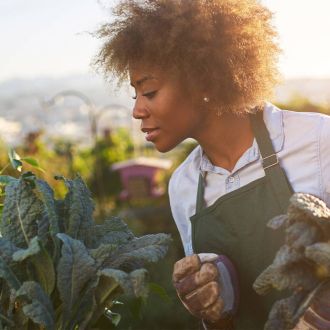 An inclusive web directory improves visibility for black farmers.