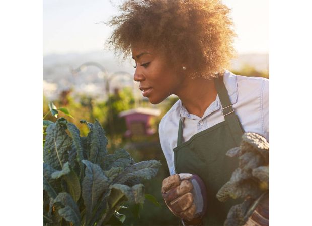 An inclusive web directory improves visibility for black farmers.
