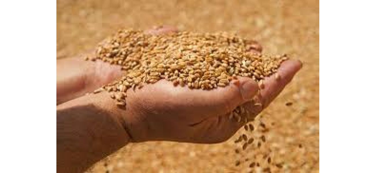 Odisha government introduces a new website for applying and managing ration cards.