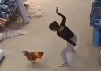 In viral video, woman slaps rooster attacking her! Chicken learns lesson.