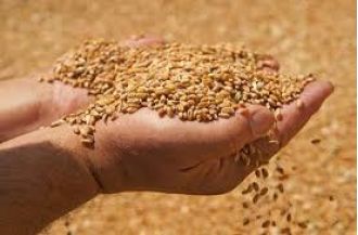 Odisha government introduces a new website for applying and managing ration cards.