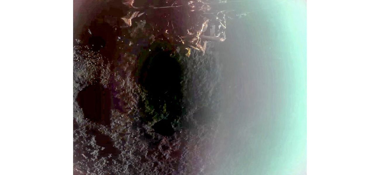 A private company has achieved a successful Moon landing for the first time.