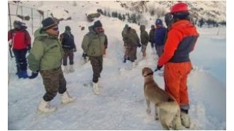 4 more missing workers' bodies found, Uttarakhand avalanche rescue mission completed.