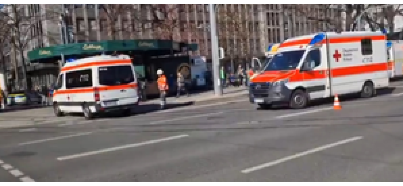 Fatal accident in Germany's Mannheim after car crashes into crowd, killing two people.