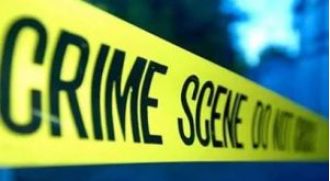Woman surrenders to police after killing her spouse.