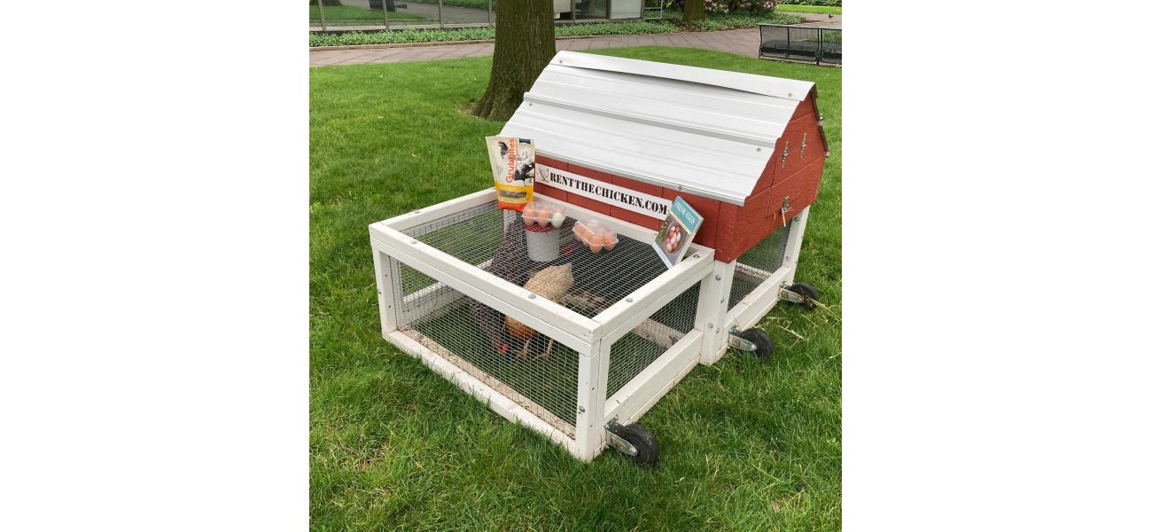 People are paying to use chickens since eggs have become too costly.