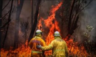 Experts connect global warming to increase in city blazes.