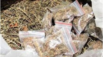 Police in Odisha arrest seven people in connection to a drug smuggling operation involving ganja.