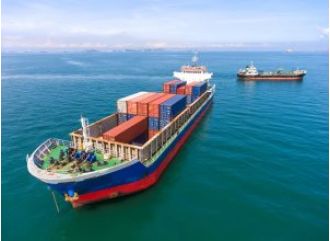 At the BRICS trade ministers' meeting, India urges for the elimination of export controls between member countries.