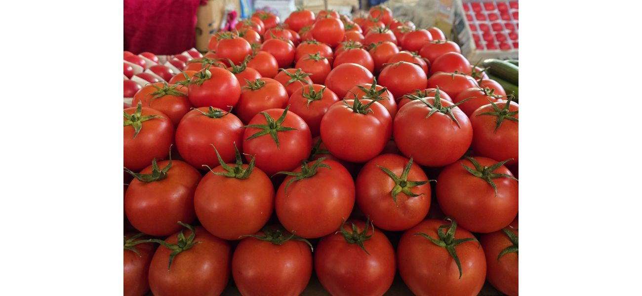Tomatoes in US recalled due to potential for fatal consequences.