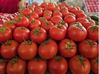 Tomatoes in US recalled due to potential for fatal consequences.