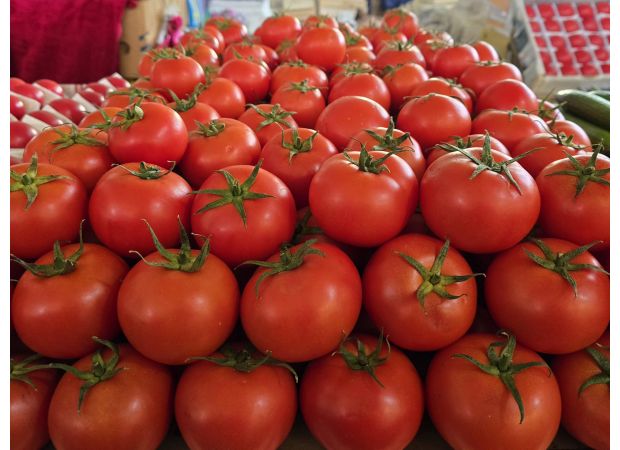 Tomatoes in US recalled due to potential for fatal consequences.