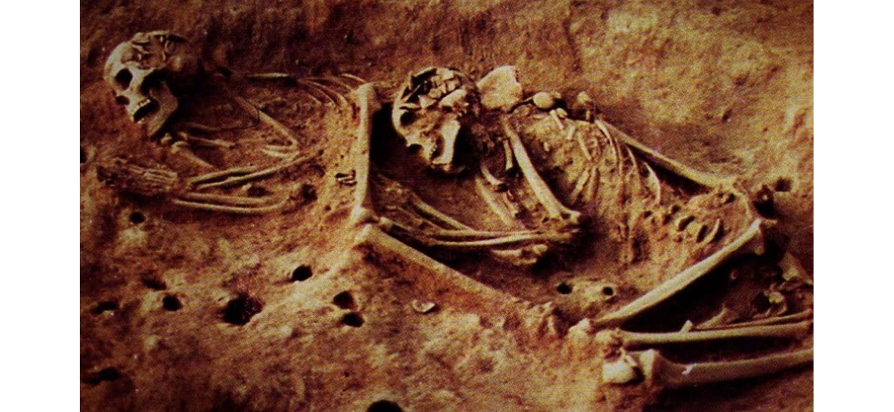 Ancient skeletons may change what we know about the past.