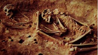 Ancient skeletons may change what we know about the past.