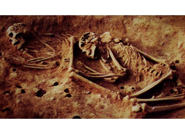 Ancient skeletons may change what we know about the past.