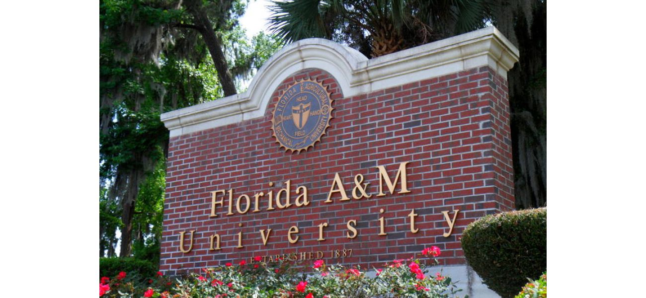 FAMU graduates sue to investigate presidential search following Marva Johnson's selection.