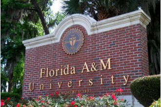FAMU graduates sue to investigate presidential search following Marva Johnson's selection.