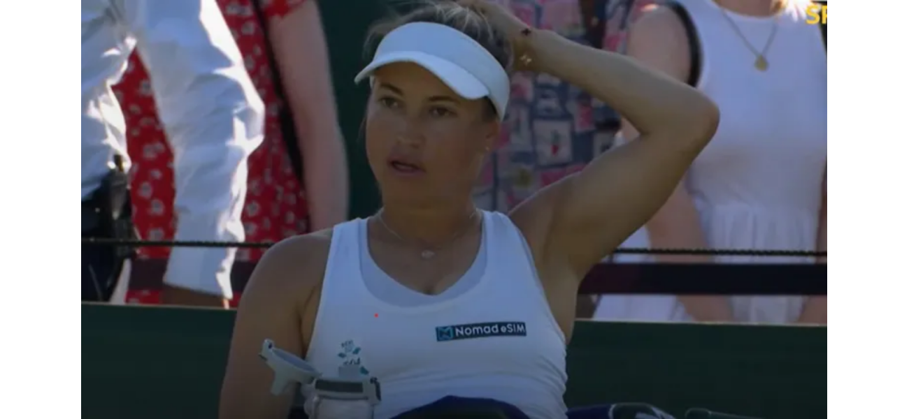 Tennis player at Wimbledon requested for a potentially harmful fan to be taken away due to concerns about a possible knife.
