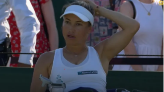 Tennis player at Wimbledon requested for a potentially harmful fan to be taken away due to concerns about a possible knife.