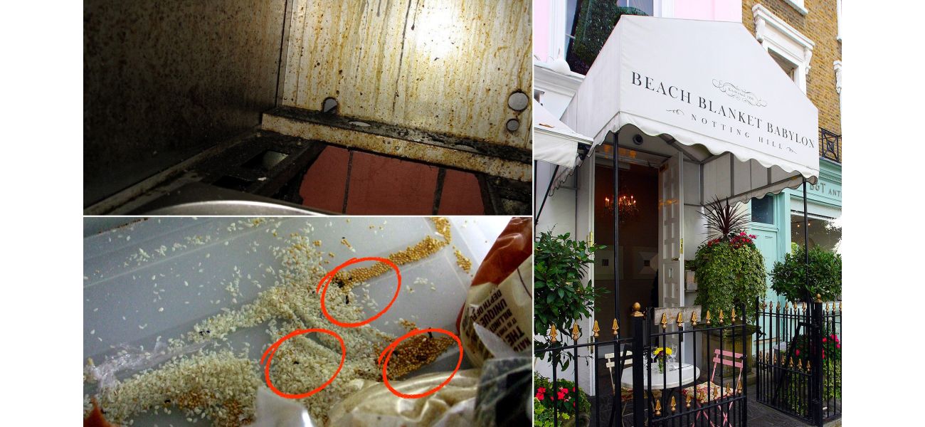 Fancy eatery in London fined £31,000 for having a dead mouse in their kitchen.