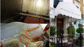 Fancy eatery in London fined £31,000 for having a dead mouse in their kitchen.
