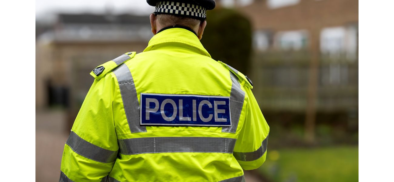 Two teenage boys, aged 14 and 16, accused of rape and suffocation for an incident in an apartment.