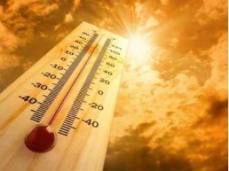 Third highest number of suspected heatstroke cases reported in Odisha according to RTI data